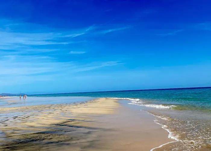 Casa Alex * كوستا كالما