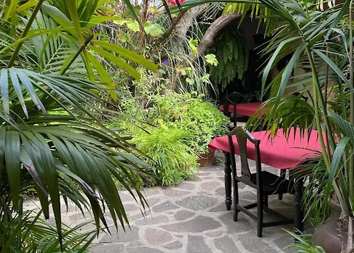 Casa Alex