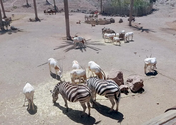 شقة Casa Alex