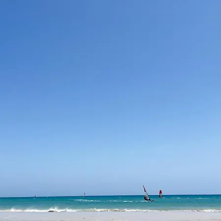 Casa Alex * كوستا كالما