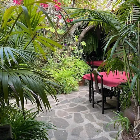 Casa Alex
